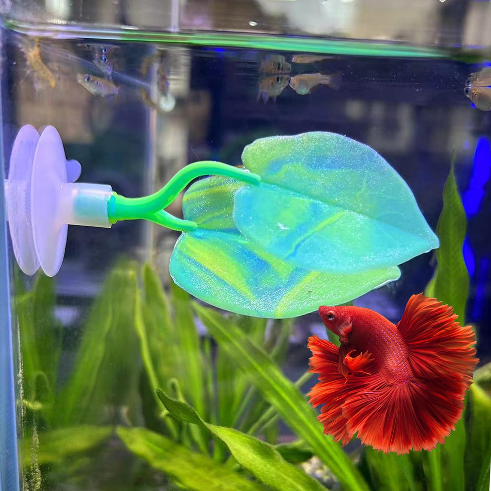 SLSON feuille-betta décor aquatique offrant refuge près de la surface