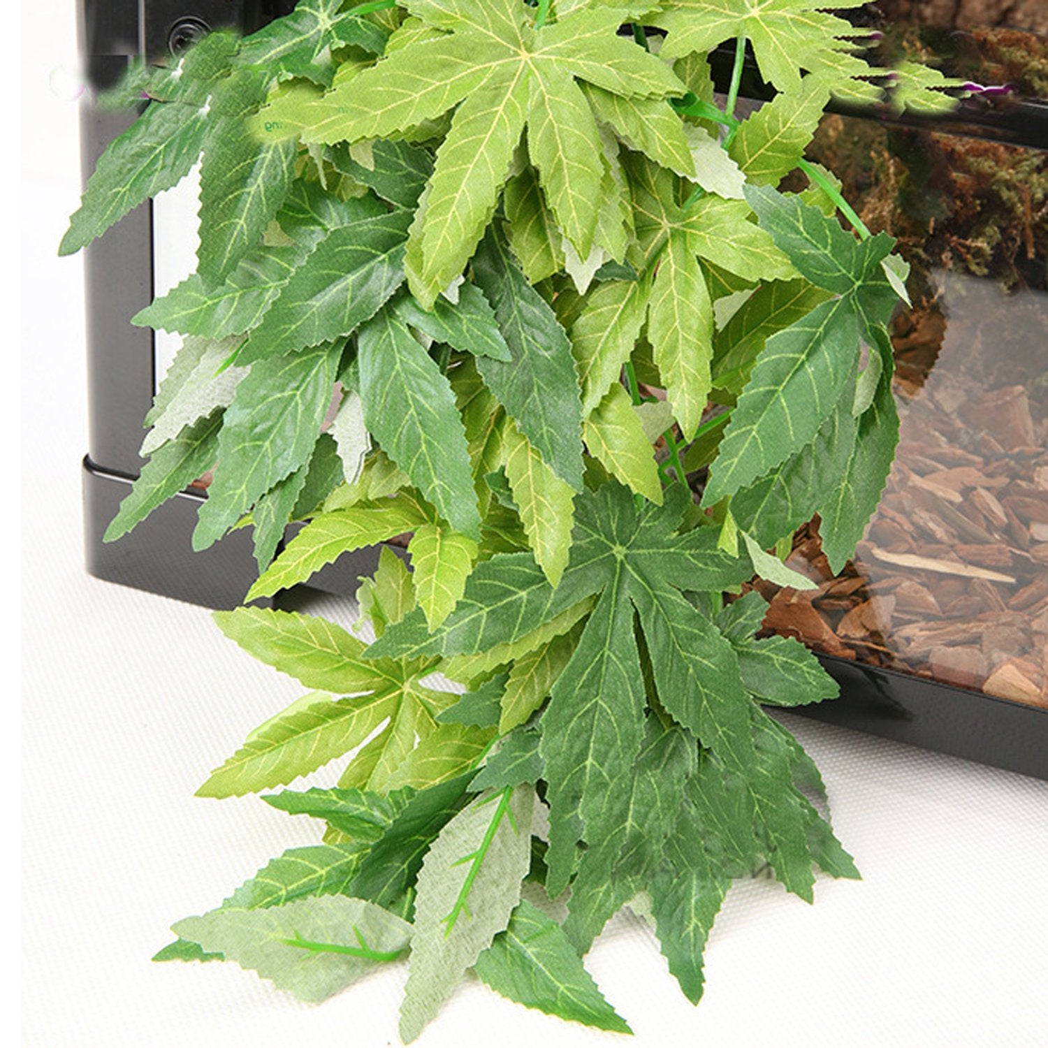 SLSON matériau non toxique et durable pour terrarium réptile
