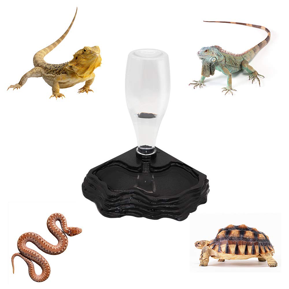 SLSON réservoir d eau pour terrarium, coin stable et pratique pour l espace.