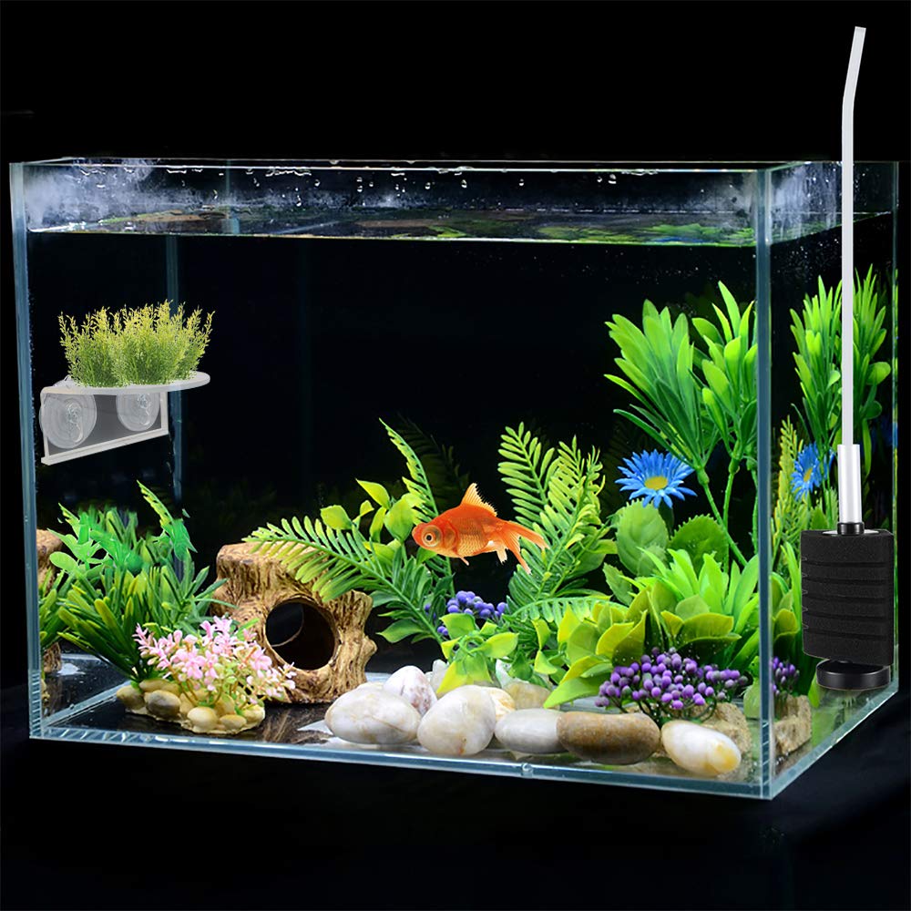 SLSON usage-multifonction-aquarium: etageres polyvalentes pour espaces intérieurs.