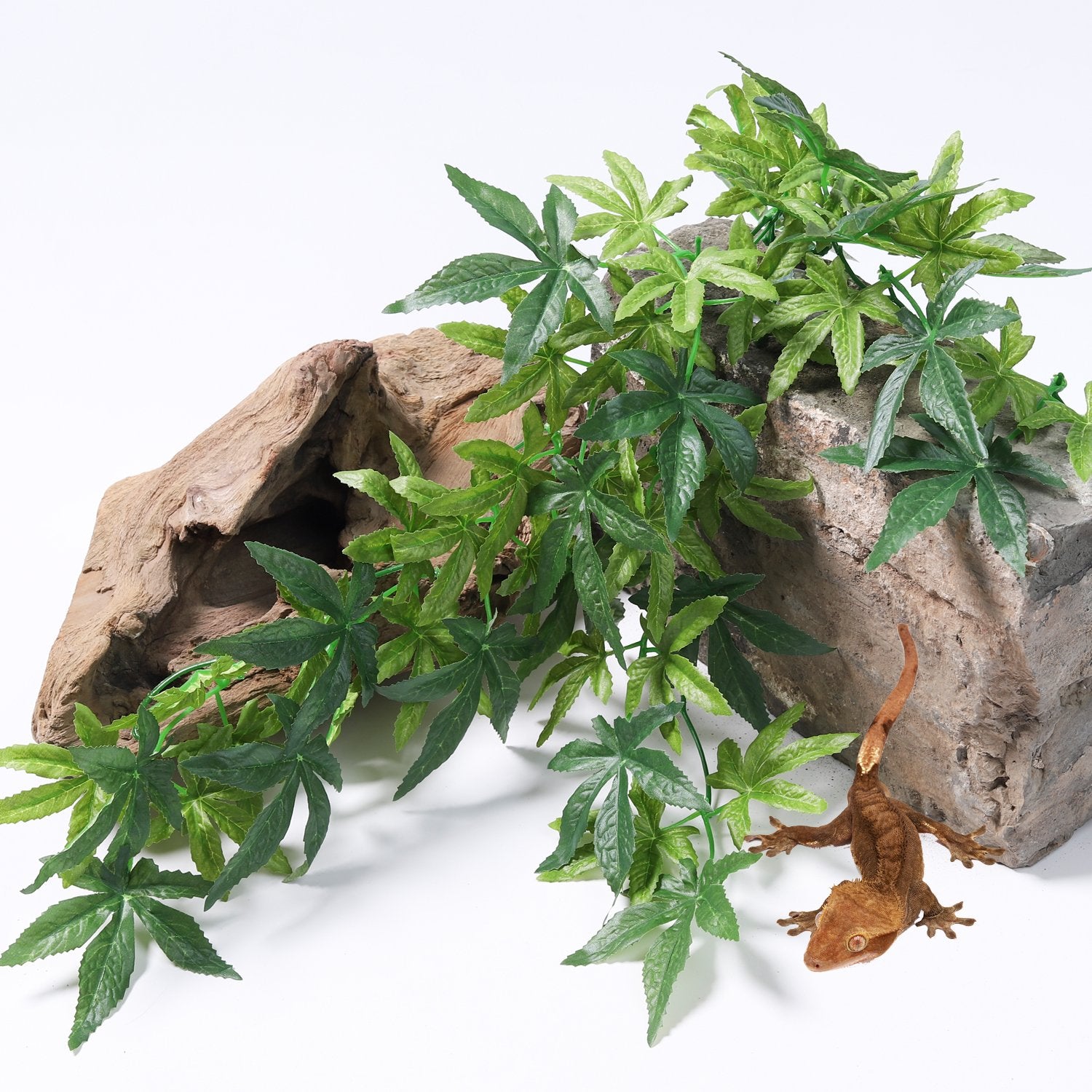 SLSON plante terrarium avec ventouse pour fixation rapide