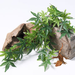 SLSON plante terrarium avec ventouse pour fixation rapide
