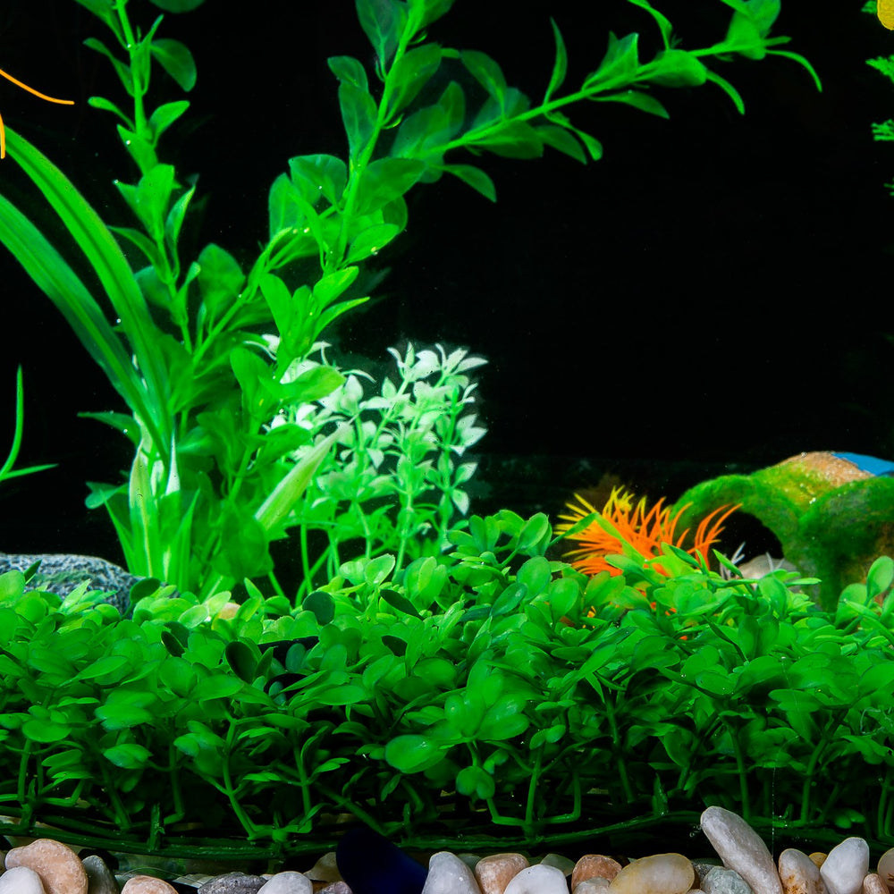 SLSON ventouses incluses – fixation stable sur le fond de l'aquarium.