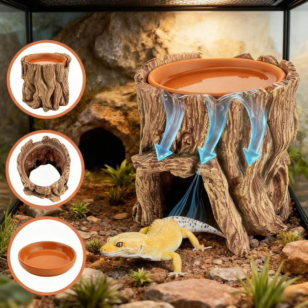 SLWHYZL bac eau ceramique detache pratique pour hydrater et nettoyer le terrarium
