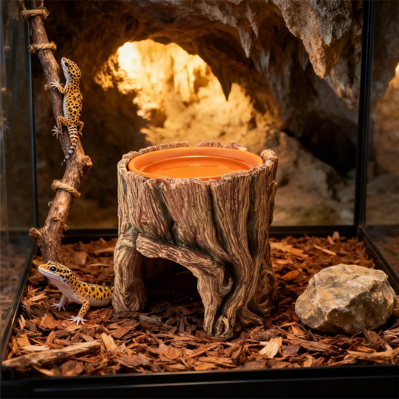 SLWHYZL design habitat epure et deco pour terrarium
