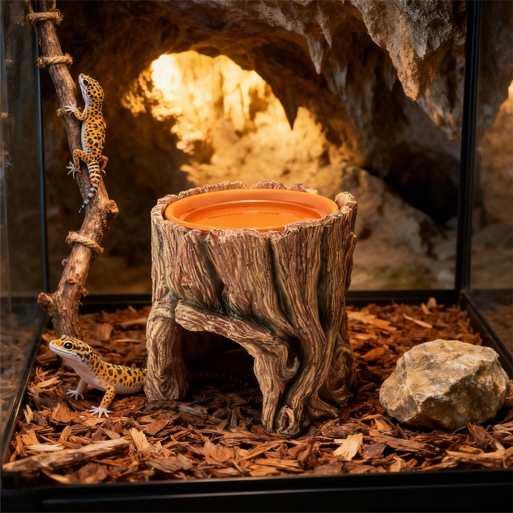SLWHYZL design habitat epure et deco pour terrarium