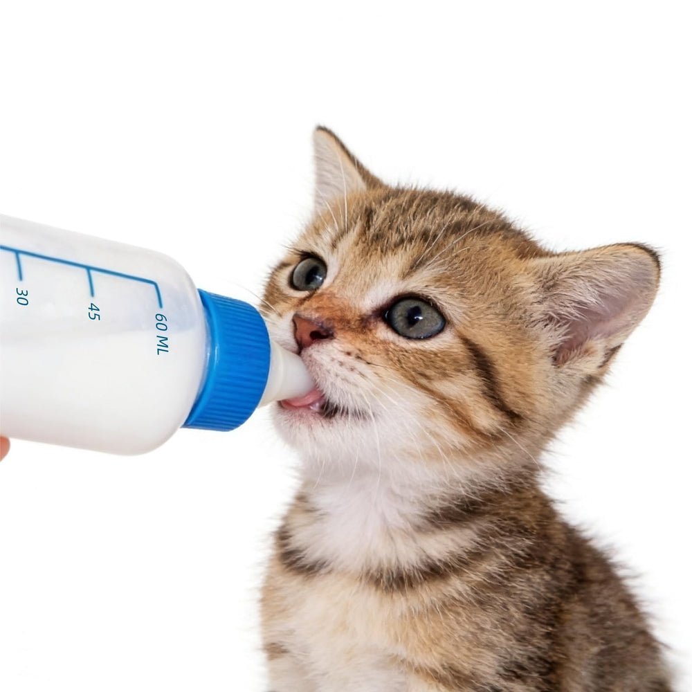 SLWHYZL kit-nourrissage-portable-chaton prêt à l'emploi