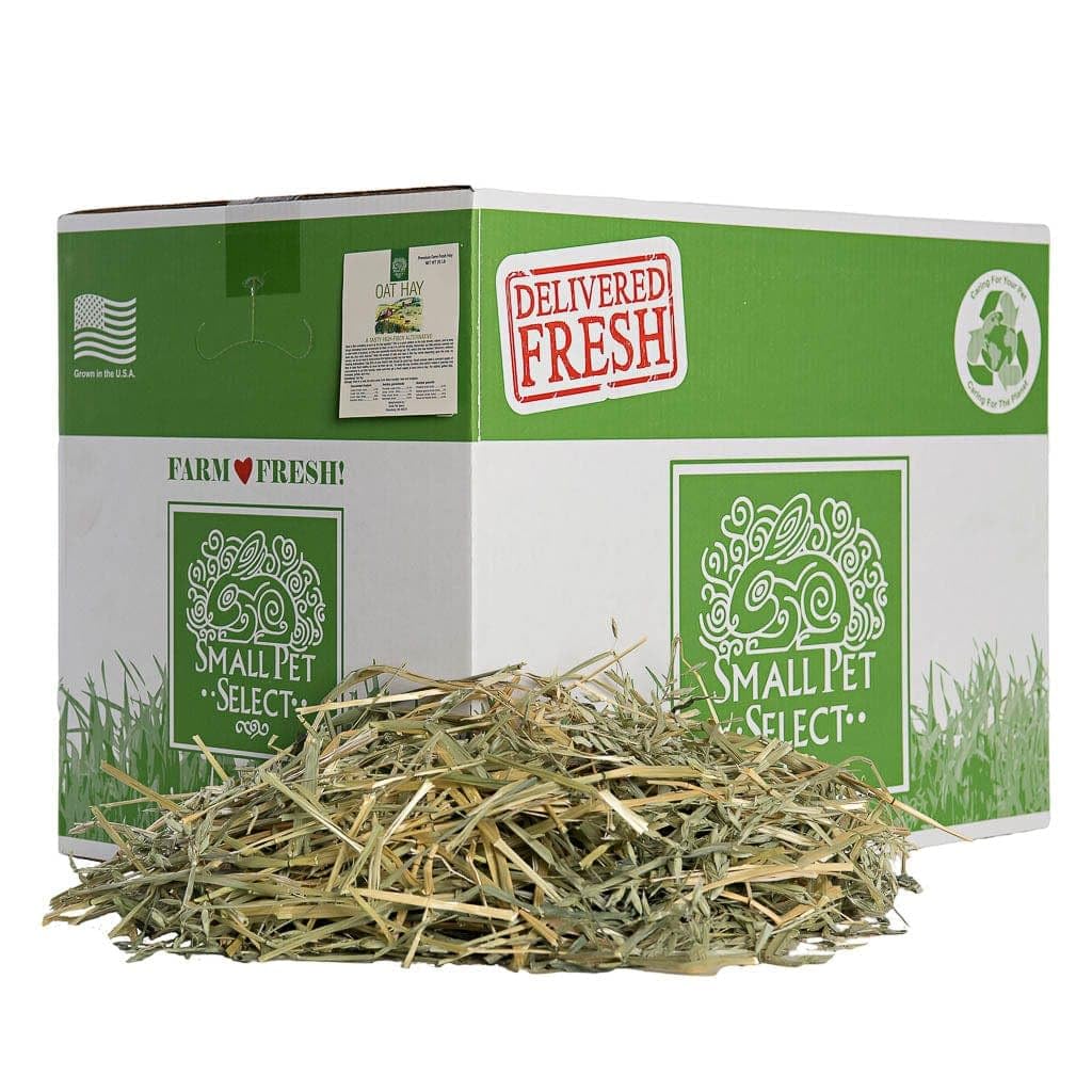 Small Pet Select avoine-foin-sac : variété naturelle pour diversifier les repas.