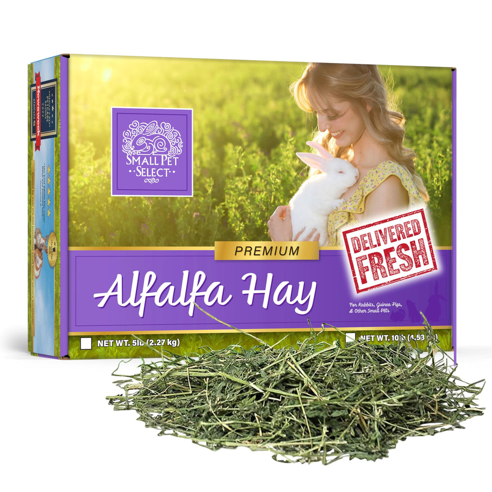 Small Pet Select – colis foin alfalfa, emballage soigné pour petits animaux.