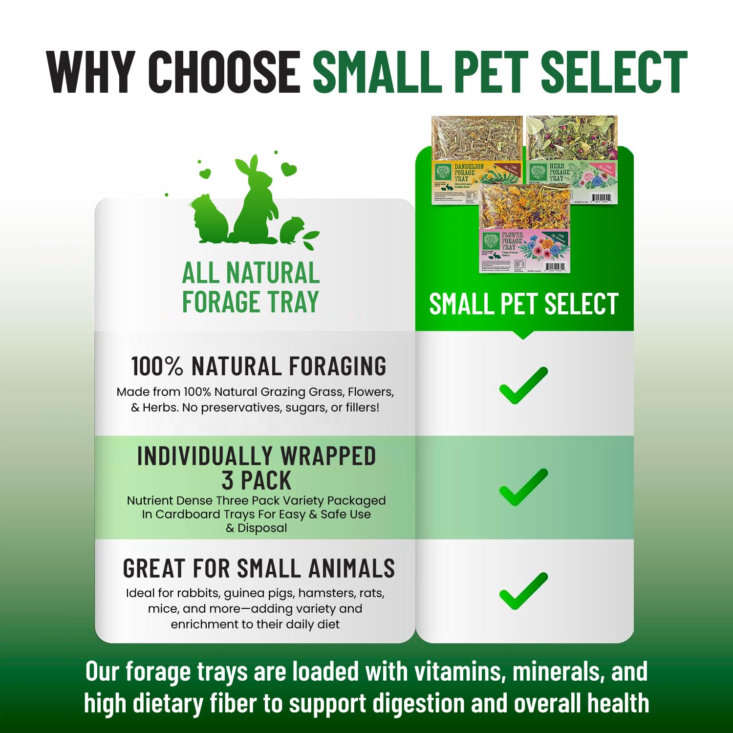 Small Pet Select ensemble plateaux fourrage, pratique et compact pour l'habitat.