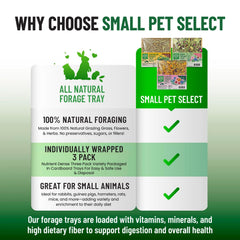 Small Pet Select ensemble plateaux fourrage, pratique et compact pour l'habitat.