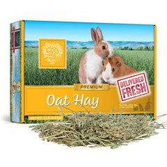 Small Pet Select foin d’avoine – variété alimentaire pour petits animaux.
