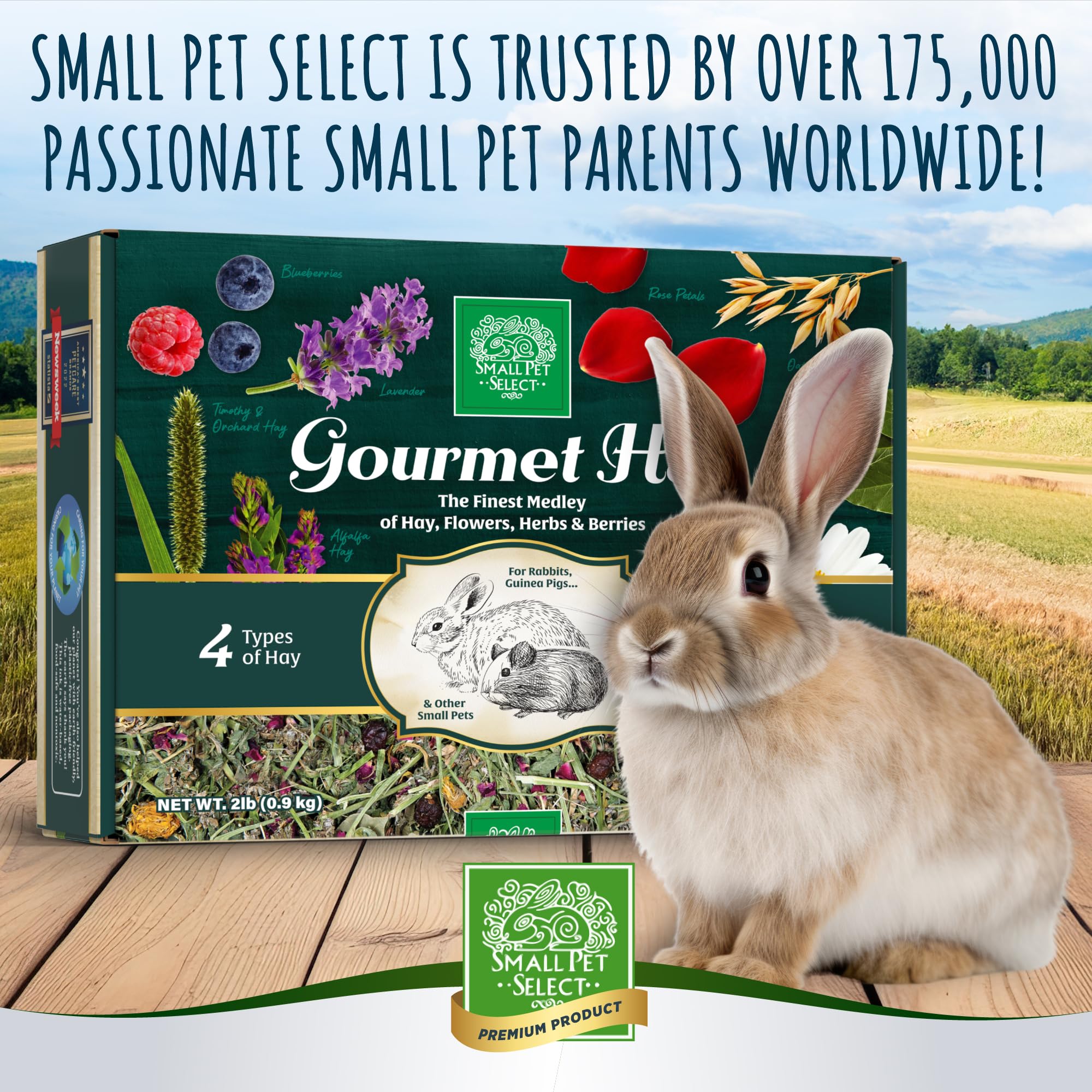 Small Pet Select foin-dessert après le repas principal, option gourmande et raisonnable.