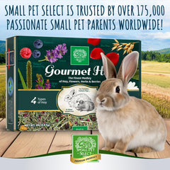 Small Pet Select foin-dessert après le repas principal, option gourmande et raisonnable.