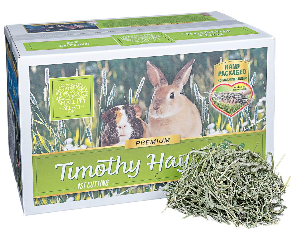 Small Pet Select Foin Timothy 1ère Coupe Bouquet — fibres riches pour la digestion.