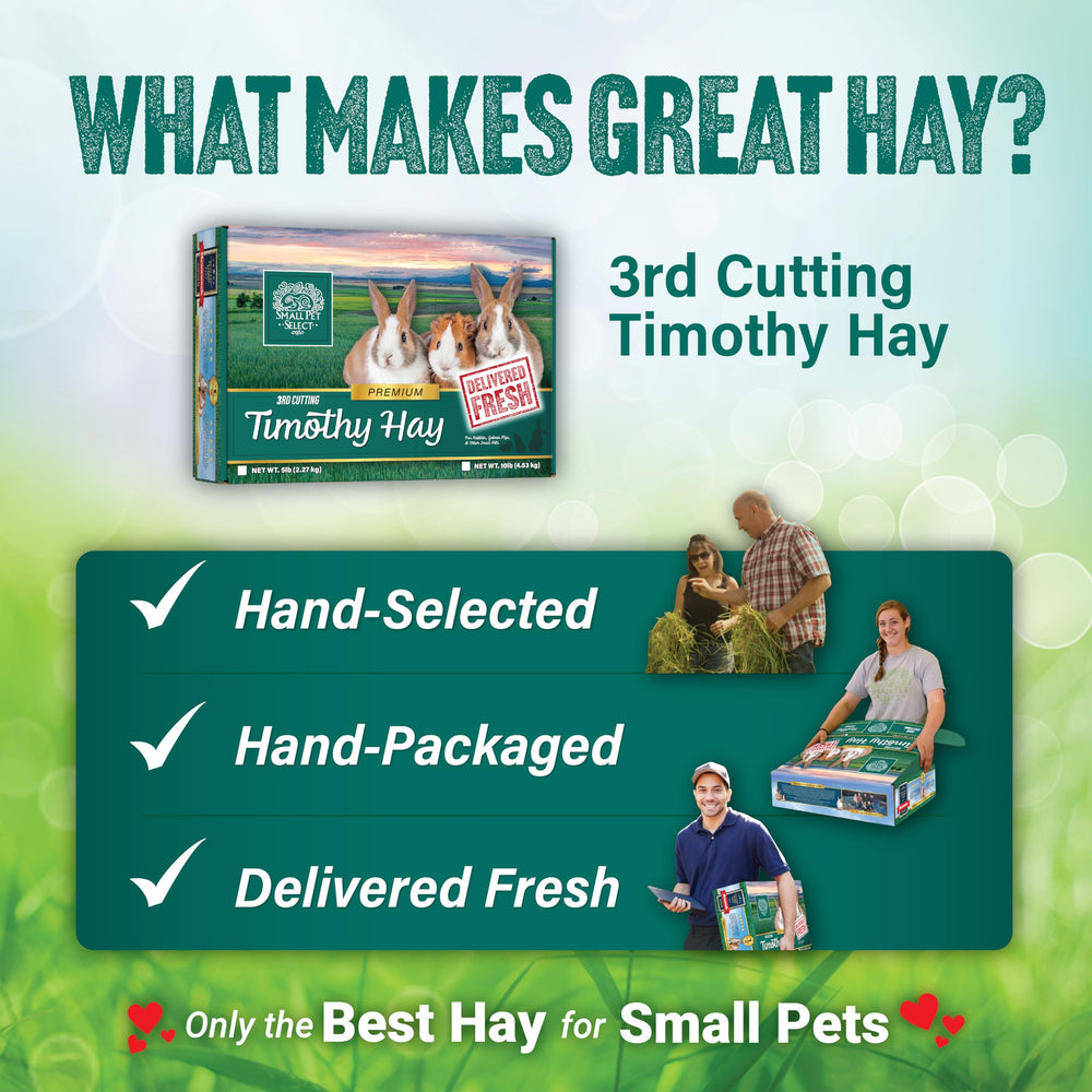 Small Pet Select Foin Timothy Super Soft, emballage frais et garantie de satisfaction.