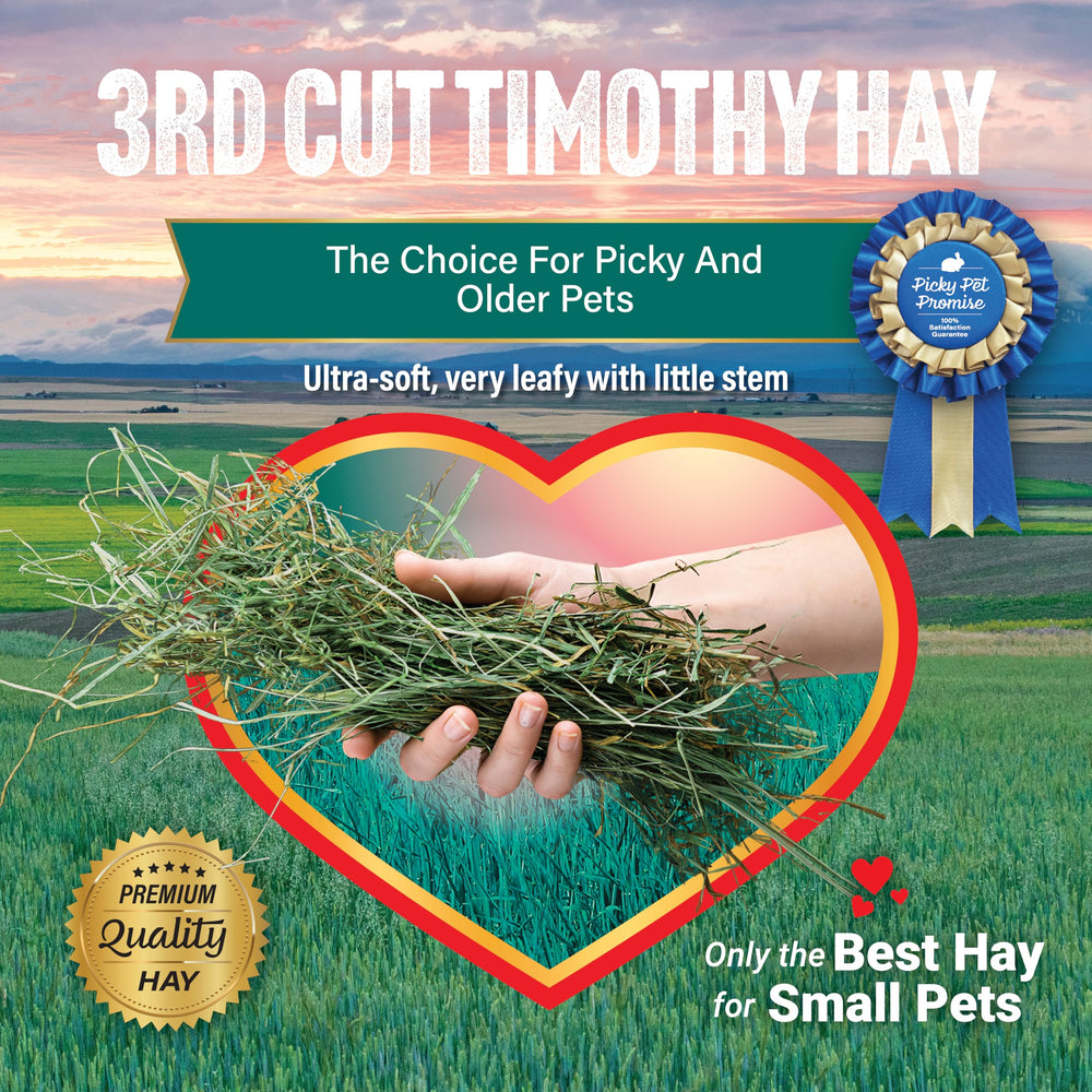 Small Pet Select Foin Timothy Super Soft, arôme doux et feuilles tendres pour l’alimentation quotidienne.