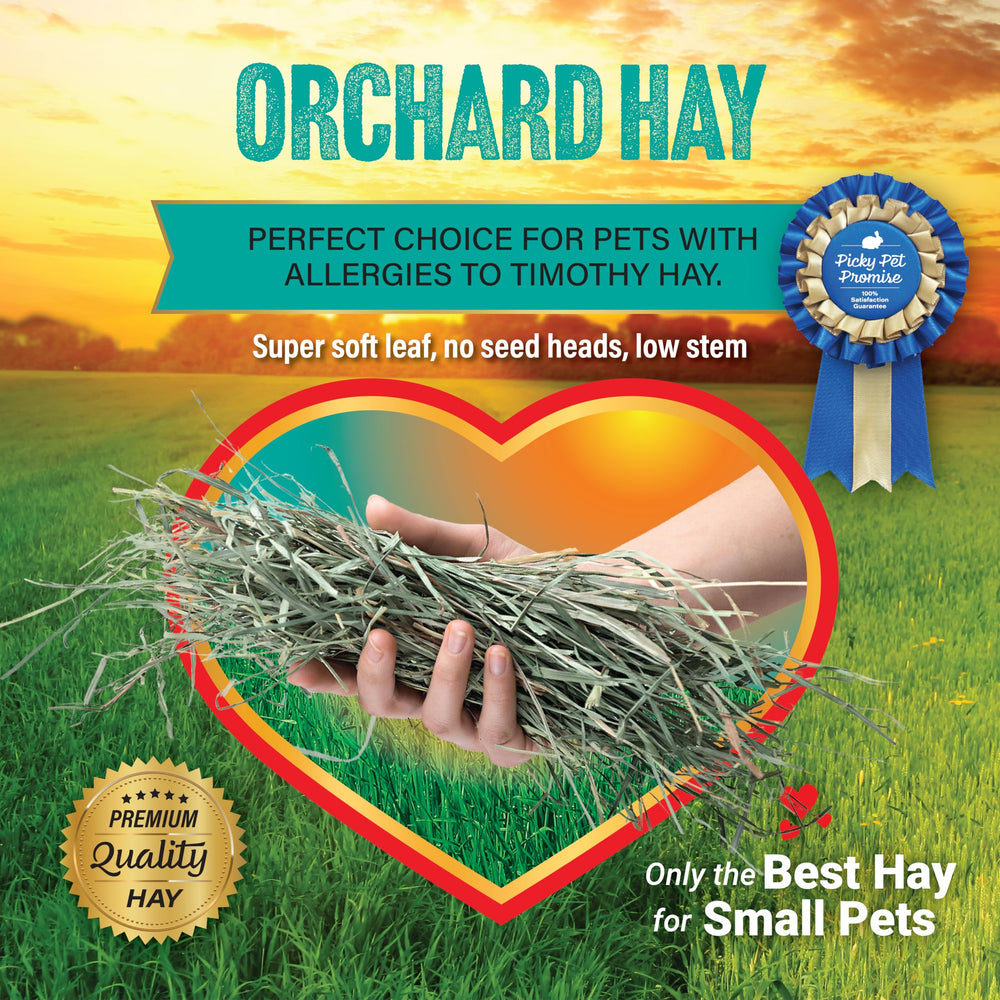Small Pet Select foin-verger odeur riche rappelle prairie aromatique.