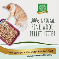 Small Pet Select granulés de pin sans colorants: litière sûre et naturelle pour vos compagnons.