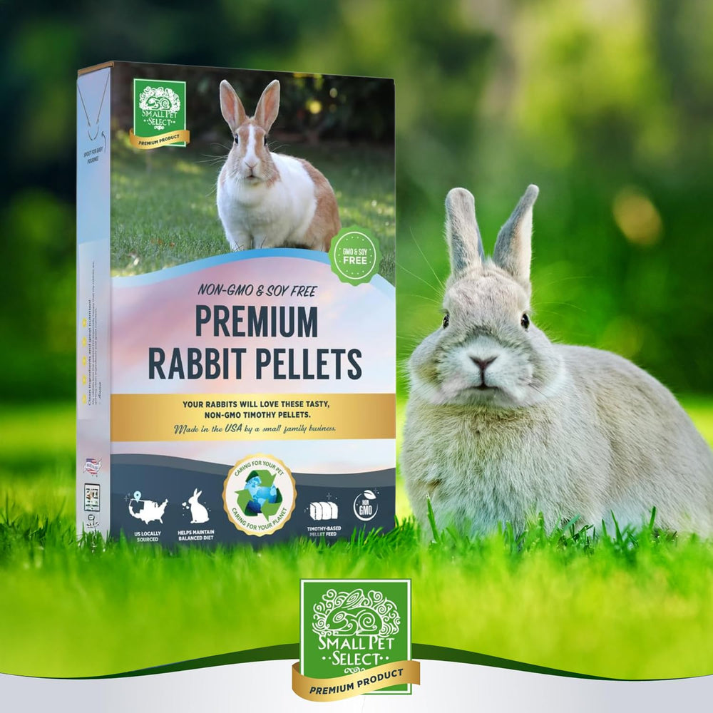 Lapin savourant pellets Small Pet Select, alimentation équilibrée possible.