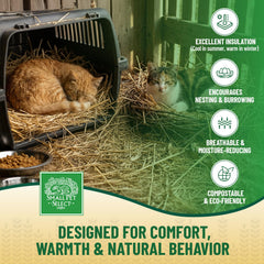 Small Pet Select nidification-fouissage-douce, favorise les comportements naturels
