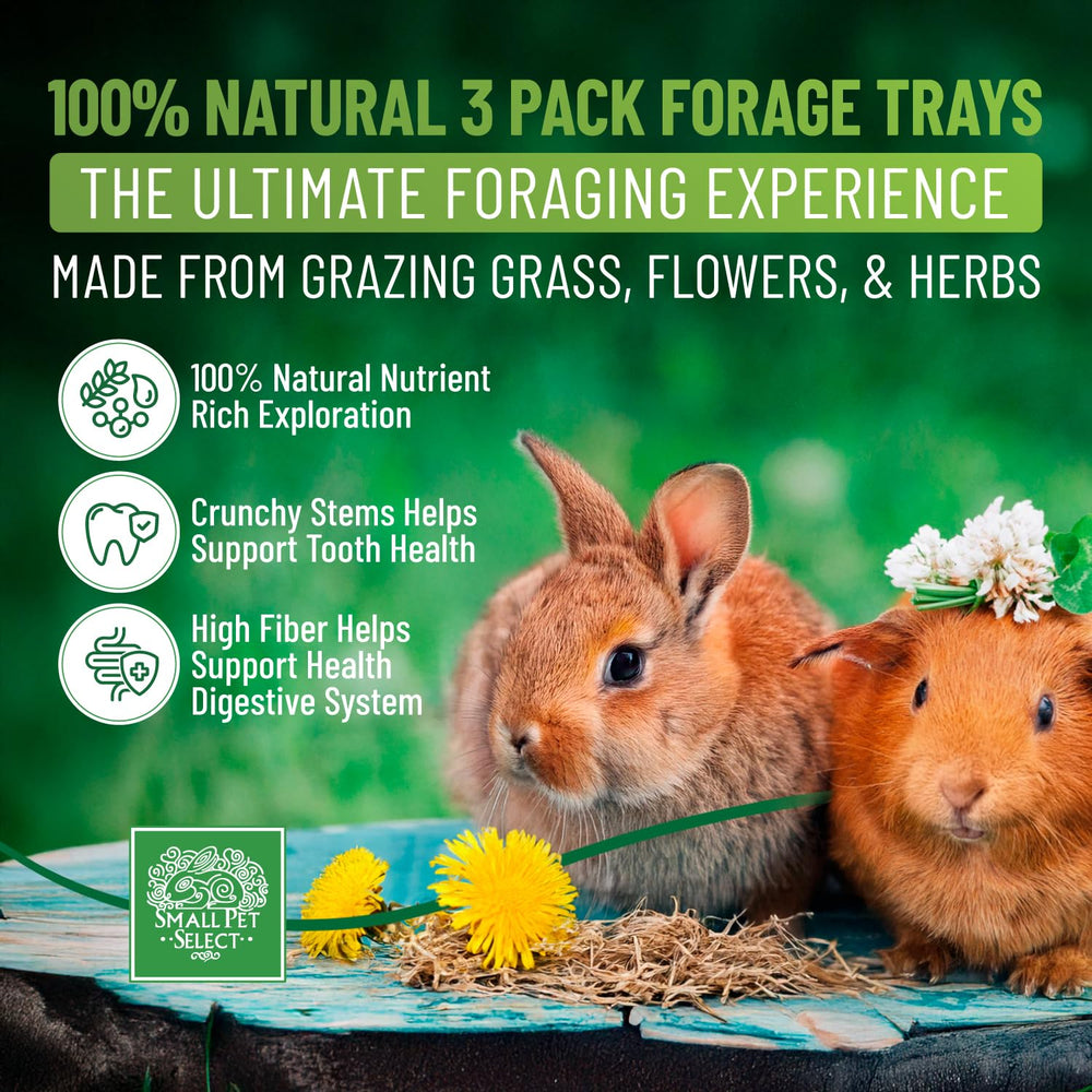 Small Pet Select plateau fourrage fleurs, offre variété visuelle et stimulation mentale.