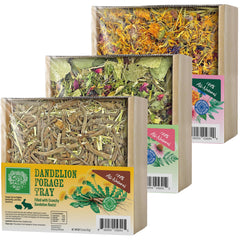 Small Pet Select plateau fourrage herbes, stimule la curiosité et soutient la digestion.
