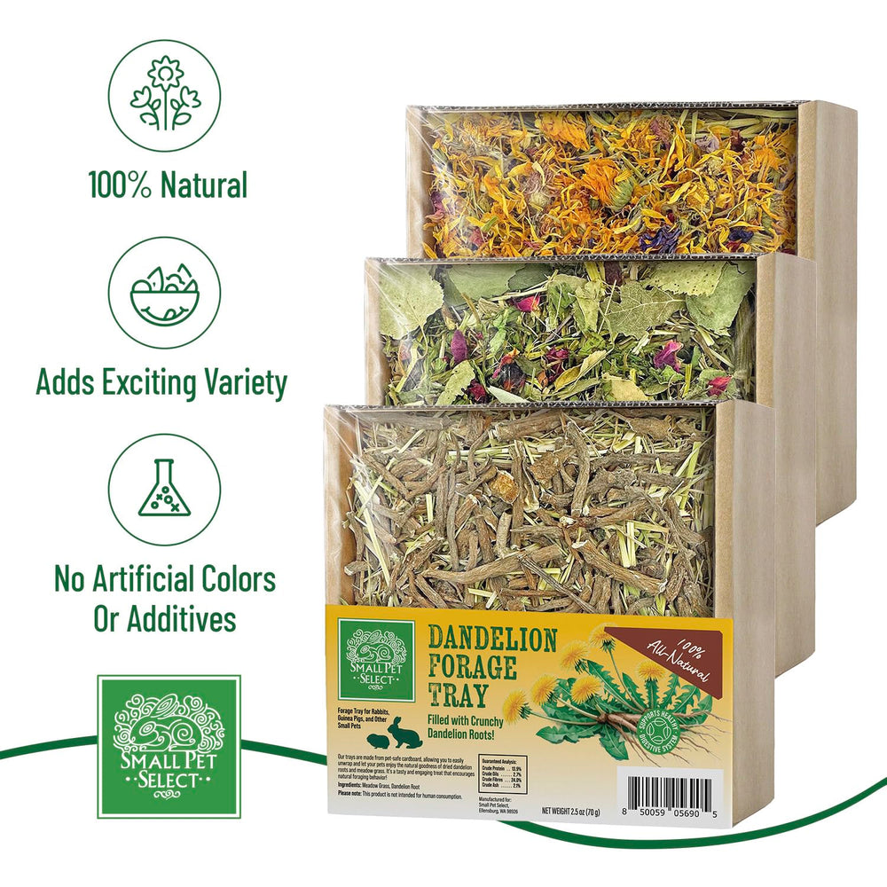 Small Pet Select plateau fourrage pissenlits, favorise la mastication variée et le plaisir sensoriel.