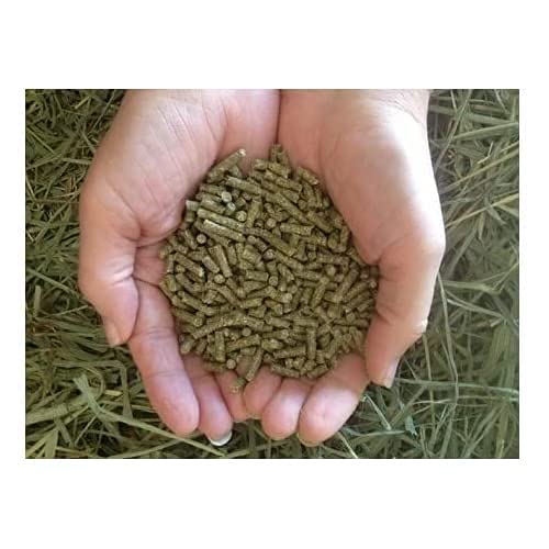 Small Pet Select richesse-en-fibres, favorisant le mordilage et le confort dentaire.