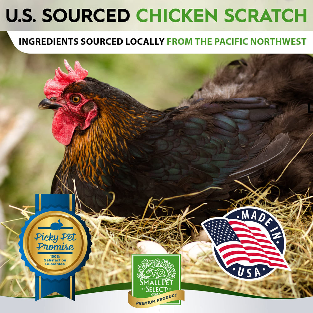 Small Pet Select Scratch texture croquante – stimule l'exploration et le brossage.