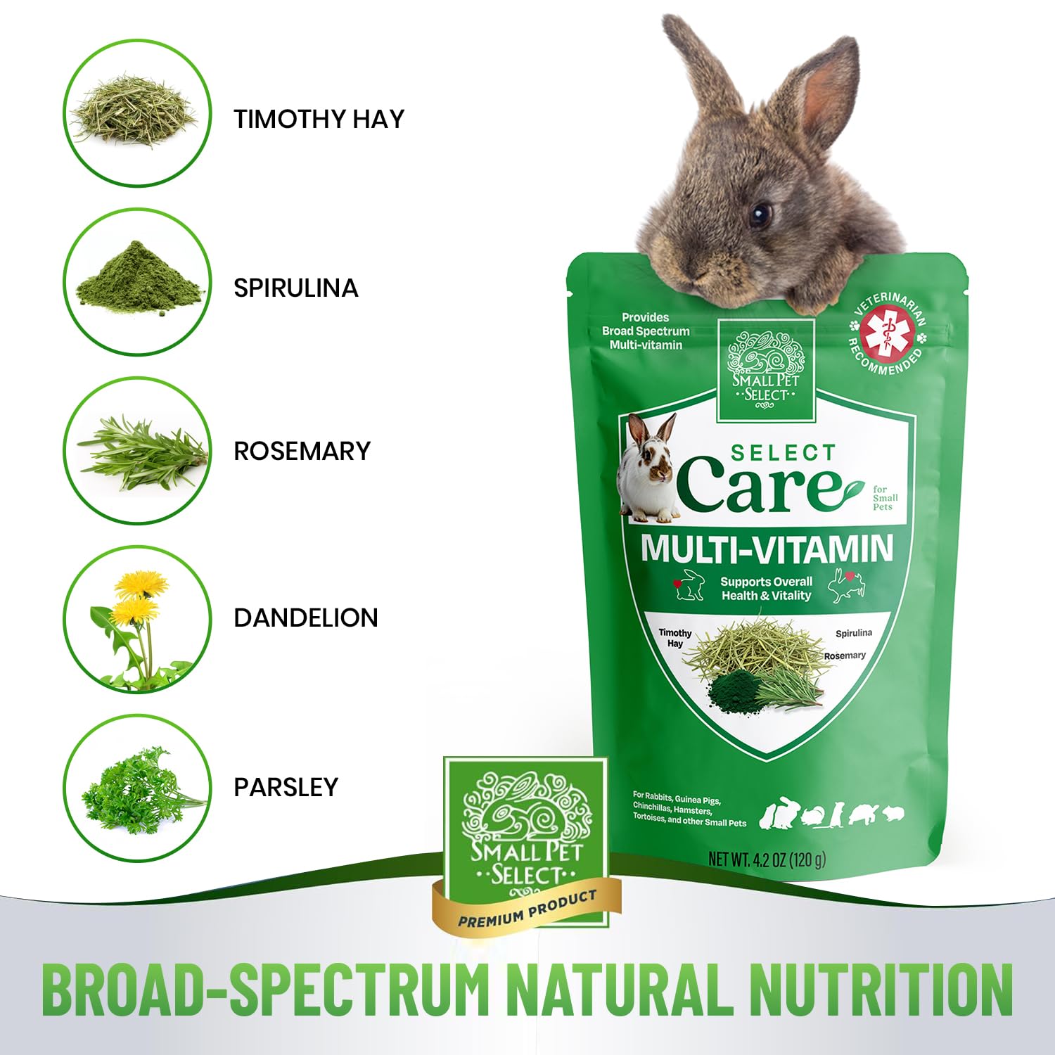 Small Pet Select Select Care – petit animal mange le biscuit nutritif.