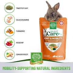 Small Pet Select Select Care biscuit-curcuma-gingembre : saveur naturelle et bienfaits potentiels