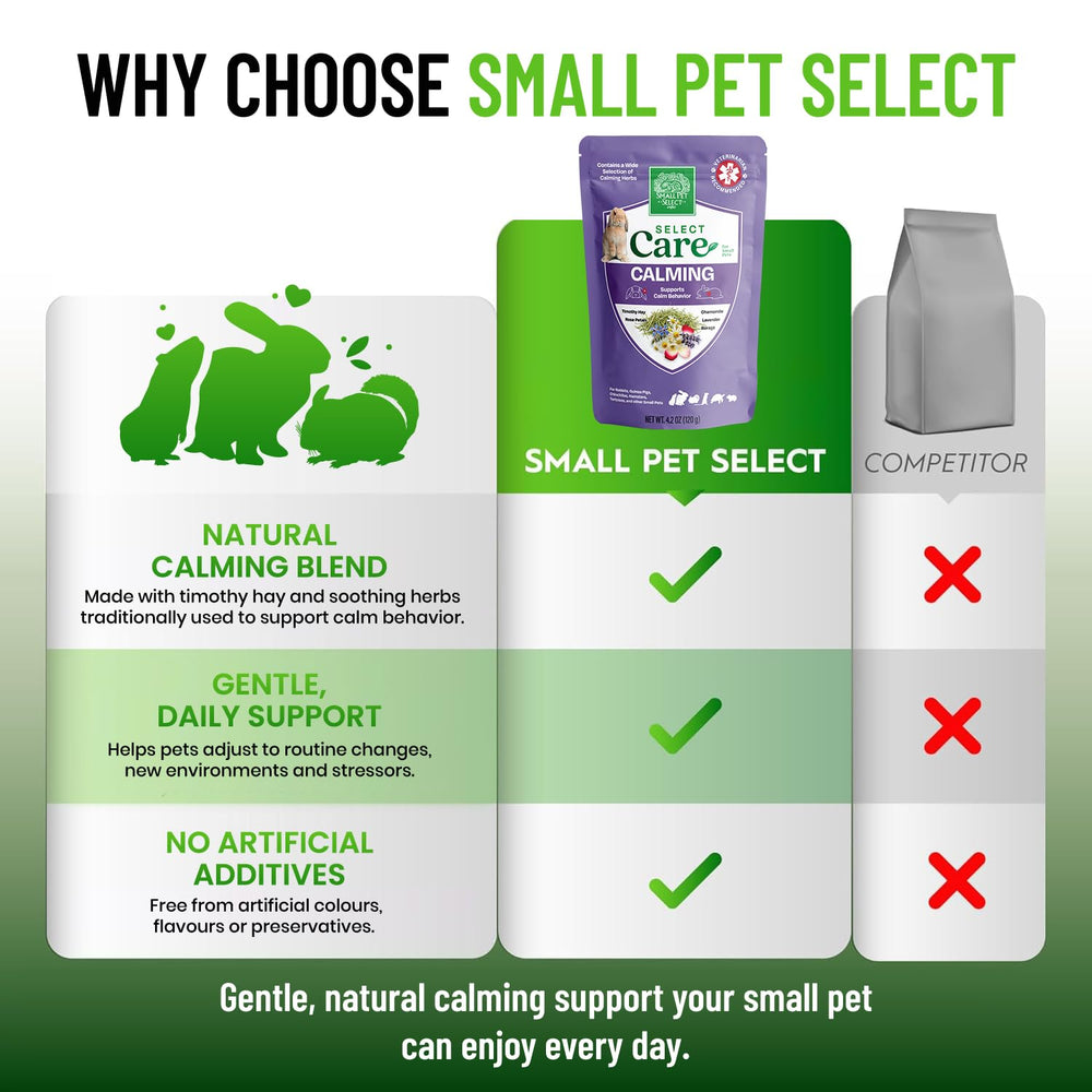 Small Pet Select Select Care : jouet de forage simple, enrichissant le quotidien.