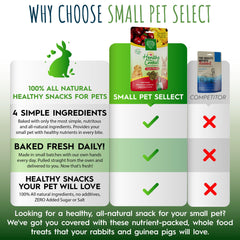 Small Pet Select snacker pomme-banane enrichissement: favorise l'exploration sensorielle chez les petits animaux.