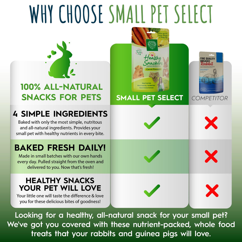 Small Pet Select Snackers carotte-ananas pour l enrichissement par le forage.