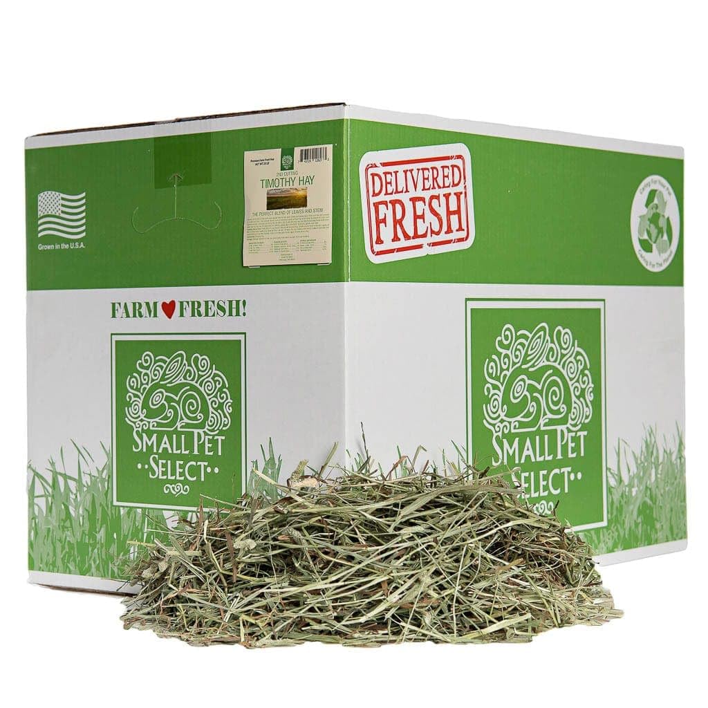 Small Pet Select foin Timothy 2e coupe – emballage frais pour animaux heureux