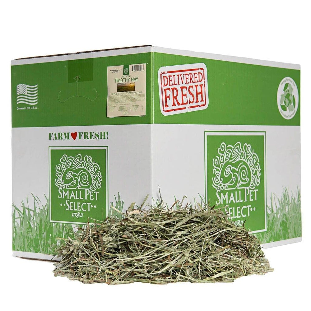 Small Pet Select foin Timothy 2e coupe – emballage frais pour animaux heureux