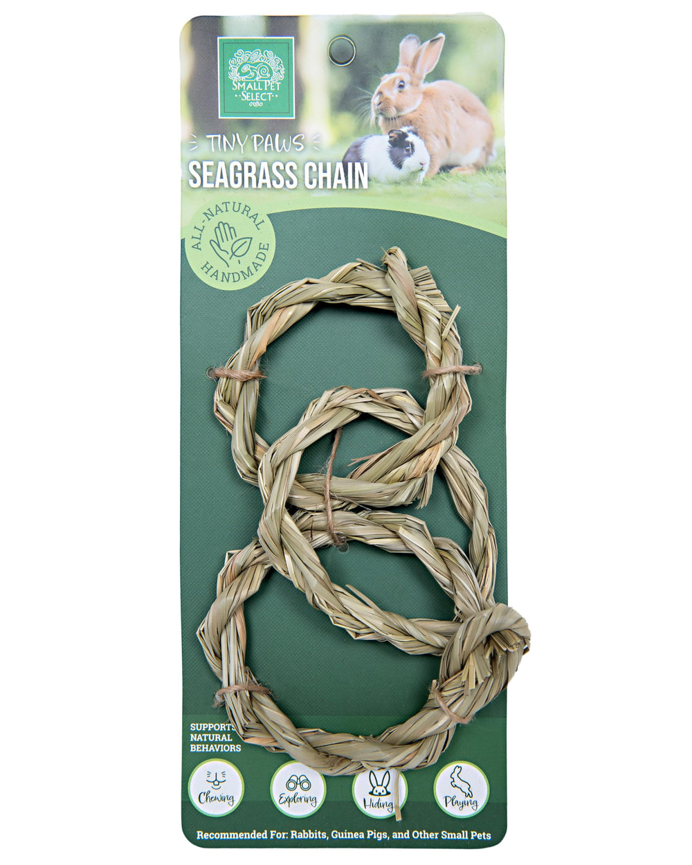 Small Pet Select Tiny Paws jouet-seagrass-interactif offre moments interactifs et divertissement doux.
