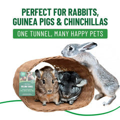 Small Pet Select Tiny Paws Tunnel Saule Jumbo, stimulation mentale et activité physique pour lapins.
