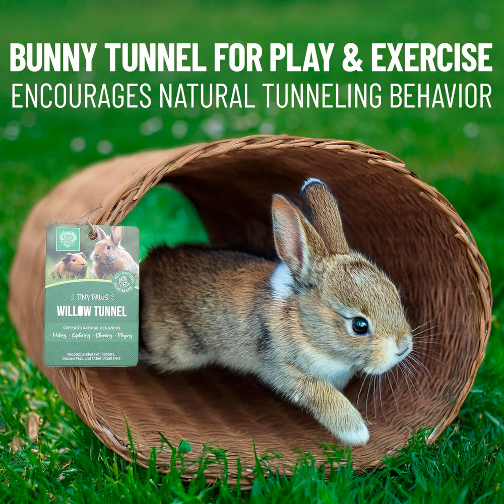 Small Pet Select Tiny Paws Tunnel Saule Jumbo, habitat polyvalent pour cages et aires de jeu.