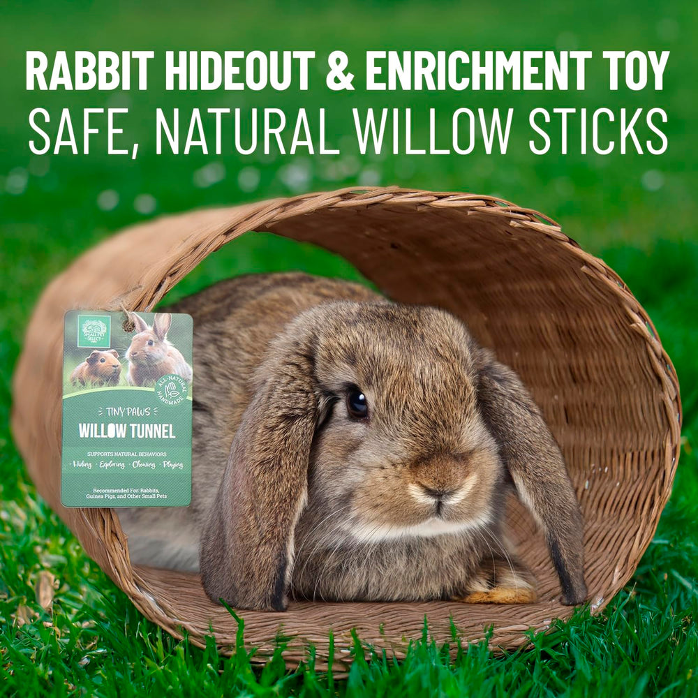 Small Pet Select Tiny Paws Tunnel Saule Jumbo, matériau naturel et durable pour exploration quotidienne.