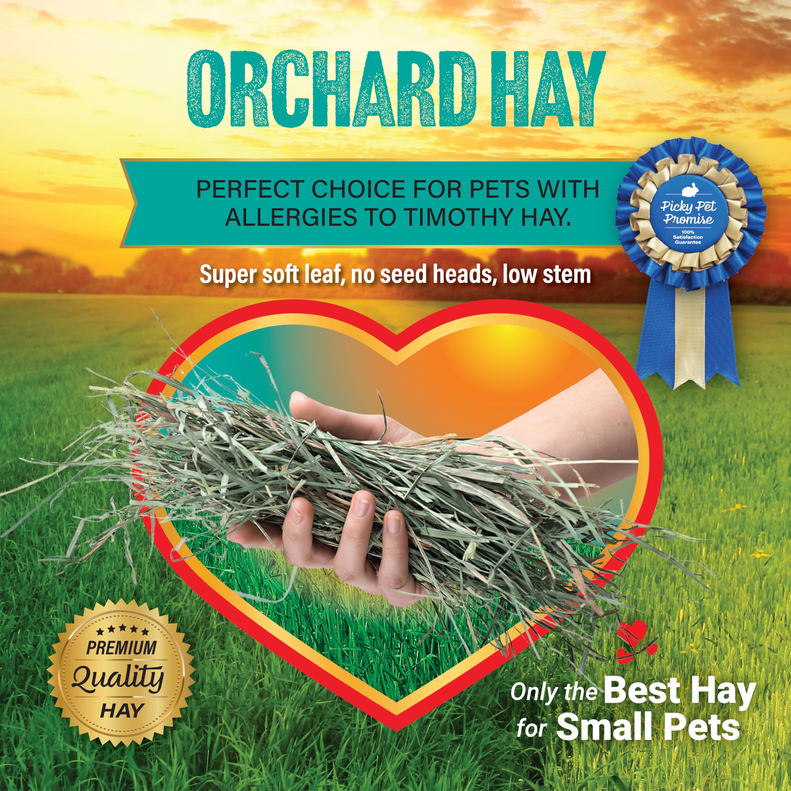 Small Pet Select livraison-frais-régulière, livraison régulière pour une alimentation constante.