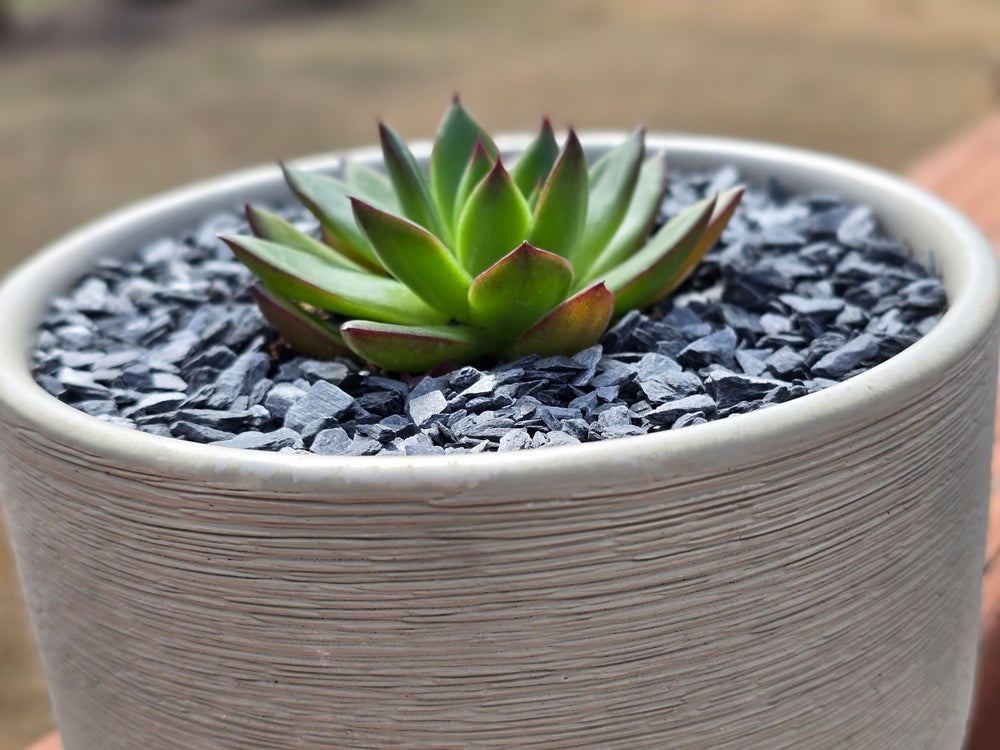 Small World Slate & Stone gravier ardoise naturel pour aquariums et aquascaping.