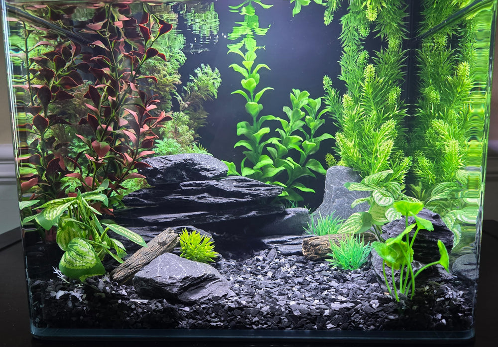 Small World Slate & Stone gravier ardoise pour terrariums et décor.