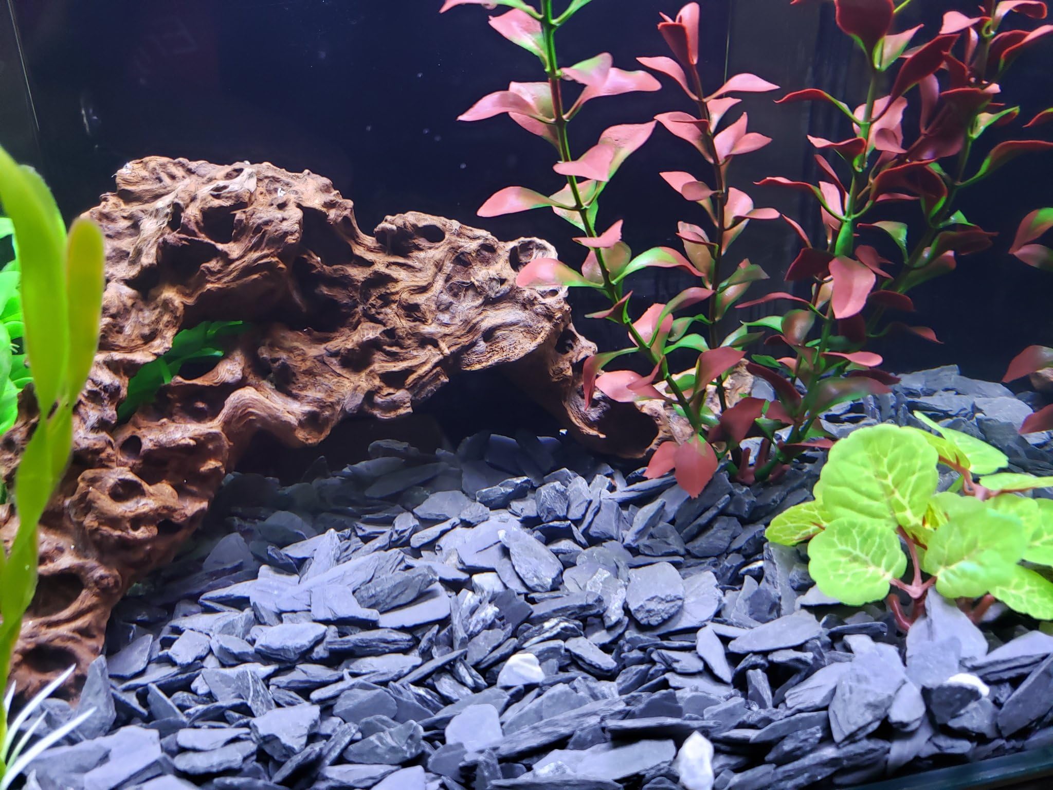 Small World gravier adapté pour plantes et aquariums d'eau douce et marins