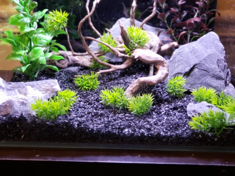 Small World Slate & Stone – fixation possible sur bois flotté avec adhésif sûr