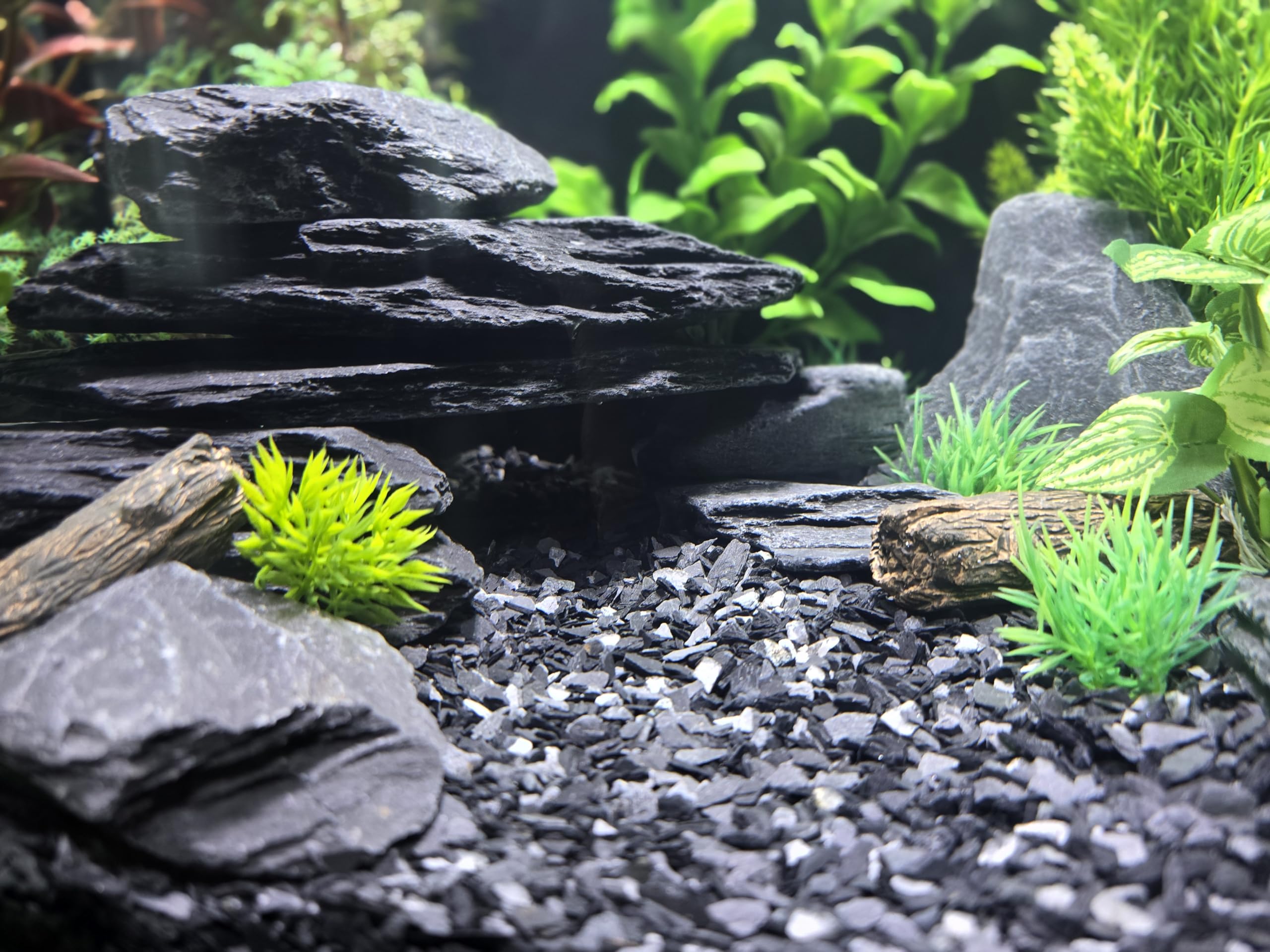 Small World Slate & Stone aquascaping-eau-douce-ardoise, idéal pour aquariums et paysages aquatiques.