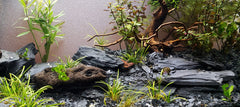 Small World Slate & Stone – cavernes en ardoise, parfaites pour paludarium