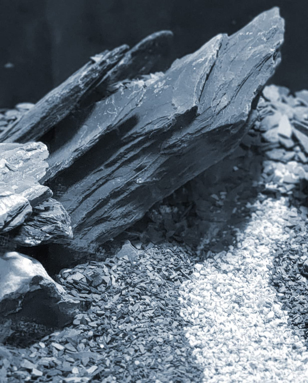 Small World Slate & Stone – falaises d’ardoise pour terrarium, décor vertical réaliste