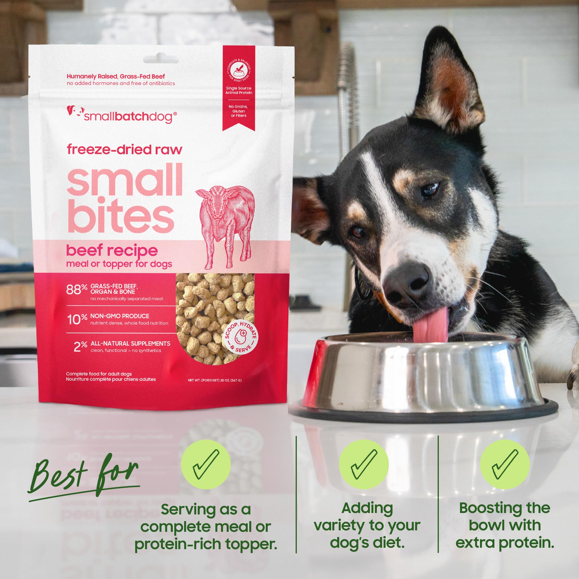 smallbatch boeuf lyophilisé – accompagnement pour croquettes, service facile